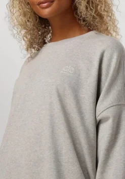 grijze co'couture mini jurk clean oversized sweat dress