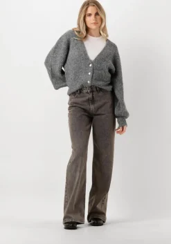 grijze co'couture vest corelie button knit