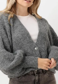 grijze co'couture vest corelie button knit