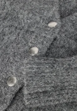 grijze co'couture vest corelie button knit