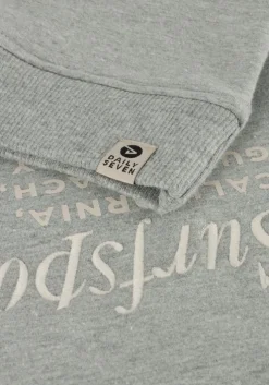 grijze daily7 sweater sweater textprint
