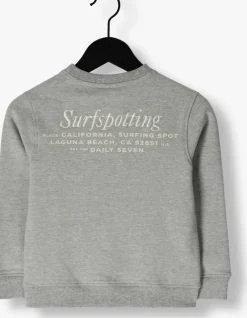 grijze daily7 sweater sweater textprint