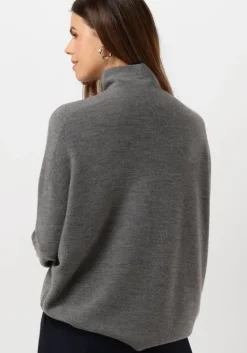 grijze drykorn coltrui liora 42002