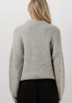 grijze drykorn trui ramea