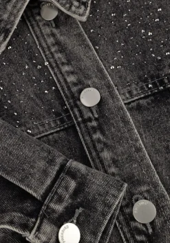 grijze freebird jack louk