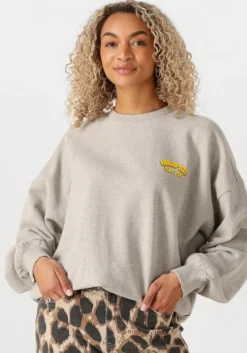 grijze harper & yve sweater rollthedice-sw