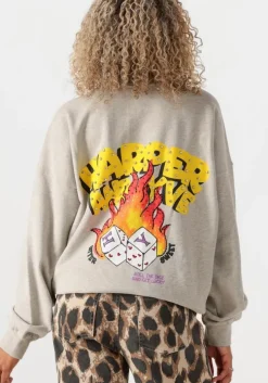 grijze harper & yve sweater rollthedice-sw