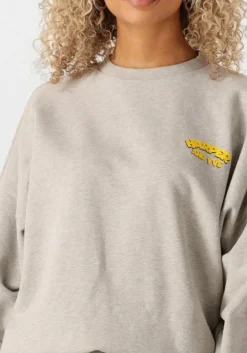 grijze harper & yve sweater rollthedice-sw