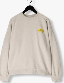 grijze harper & yve sweater rollthedice-sw