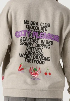 grijze harper & yve trui guiltylist-sw