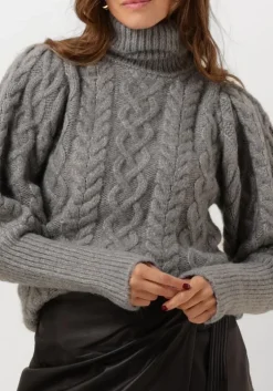 grijze ibana coltrui texany