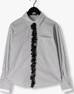 grijze jansen amsterdam blouses alexis blouse cs1 718 sequin plaquet