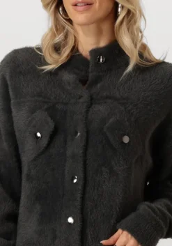 grijze jansen amsterdam vest p263 vest benja