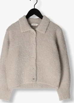 grijze knit-ted vest asa