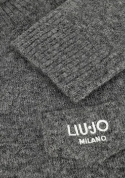 grijze liu jo coltrui 3.0 maglia chiusa m/l