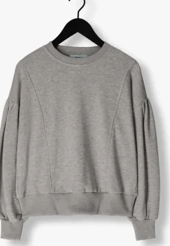 grijze minus trui roselia sweat