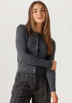 grijze modström vest hirokimd short cardigan