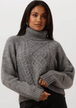 grijze notre-v coltrui nv-enide