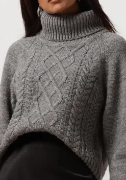 grijze notre-v coltrui nv-enide