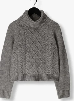 grijze notre-v coltrui nv-enide