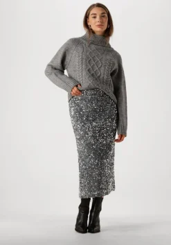 grijze notre-v coltrui nv-enide