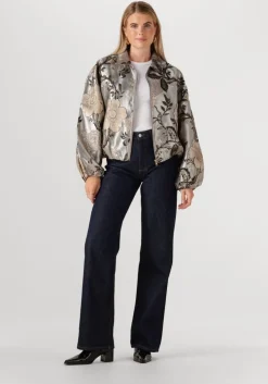 grijze notre-v jack nv-gaya