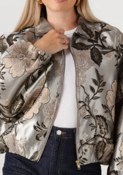 grijze notre-v jack nv-gaya