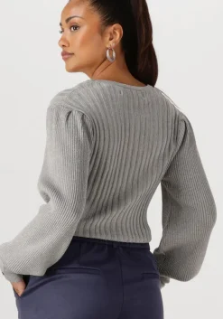 grijze nukus truien/vesten mulberry pullover lurex