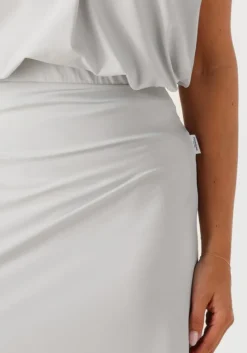 grijze penn & ink midirok skirt