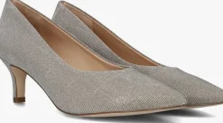 grijze peter kaiser pumps 72447