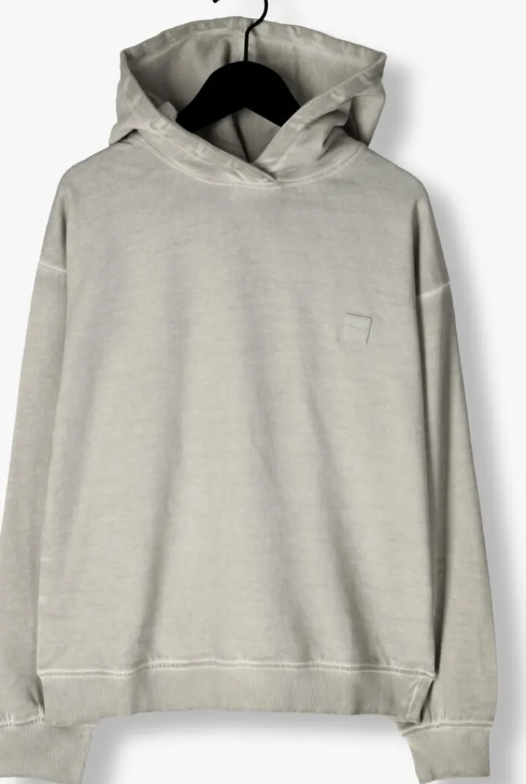 grijze raizzed truien/vesten nevis