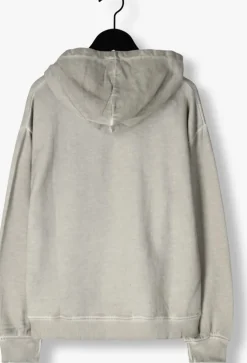 grijze raizzed truien/vesten nevis