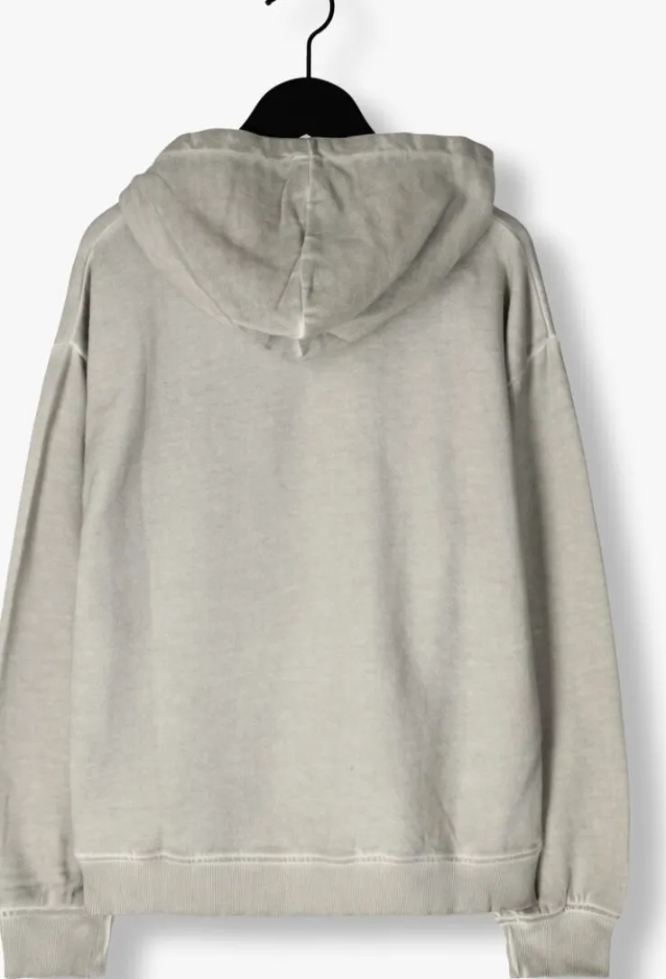 grijze raizzed truien/vesten nevis