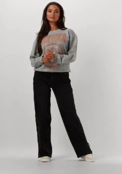 grijze refined department sweater jane