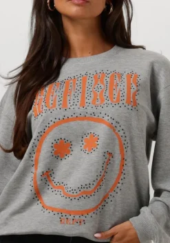 grijze refined department sweater jane