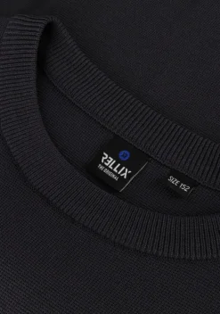 grijze rellix trui knitwear basic