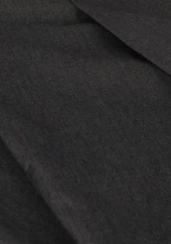 grijze scotch & soda pantalon rose pleated high-rise wide leg pant