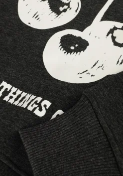 grijze sofie schnoor sweater g243243