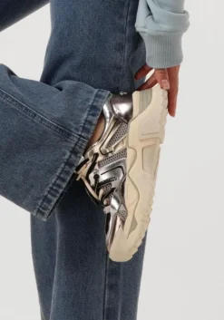 grijze steve madden lage sneakers kingdom