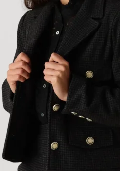 grijze suncoo jack darcy