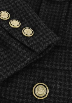 grijze suncoo jack darcy