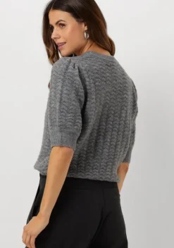 grijze suncoo trui pensee