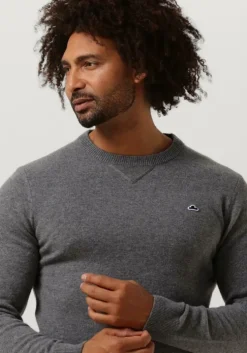 grijze the goodpeople trui knox