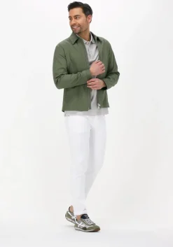 grijze tiger of sweden polo darios