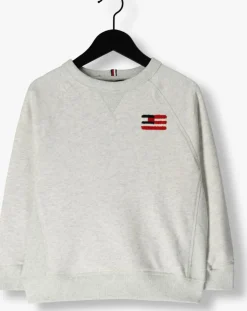 grijze tommy hilfiger trui hilfiger flag relaxed sweatshirt
