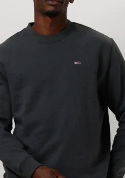 grijze tommy jeans trui tjm reg s flag crew