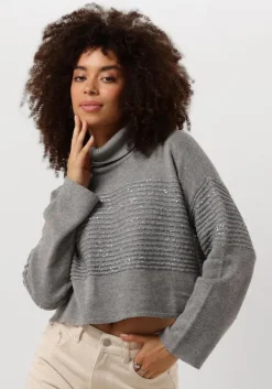 grijze twinset milano coltrui 242tp3271