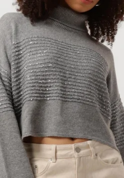 grijze twinset milano coltrui 242tp3271