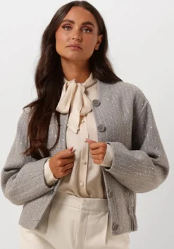 grijze twinset milano jack 242tp2051