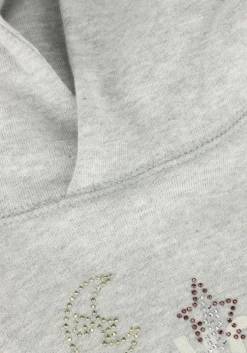 grijze zadig & voltaire sweater x60327